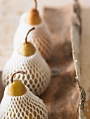 Three Pears in White Netting on a Piece of Bark