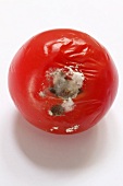 A mouldy tomato seen from above