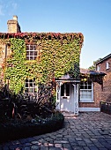 Historic, English house with vine-covered brick facade