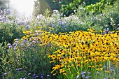 Blumen und Staudenbeete im Park (Killesbergpark, Stuttgart)