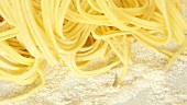 Fresh pasta from a pasta maker