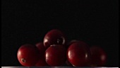 Cranberries against a black background