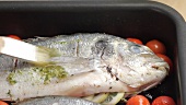 Brushing seabream with herb oil