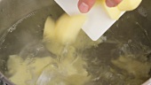 Kartoffelstücke ins kochende Wasser geben