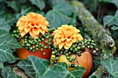 Autumnal arrangement with apples as vases decorated with flowers & berries