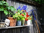 Holzregal mit verschiedenen Blumentöpfen und Steinkopf