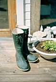 Wellington boots next to planted dish