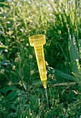 Calibrated funnel made of yellow plastic in flowerbed