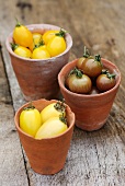 Yellow pear-shaped tomatoes (Yellow Pear), Black Cherry tomatoes & yellow plum tomatoes (Cream Sausage)