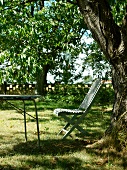 Wooden chair under a tree with dappled sunlight