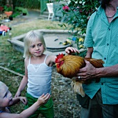 Farmer showing children a rooster
