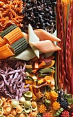 Noodles in assorted shapes and colors