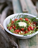 Salad with raw tuna fish and egg