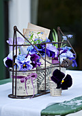 Spring arrangement of violas - vases made from tin cans covered with paper in wrought iron bottle carrier