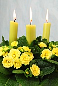 Frühlingsdeko: gelbe Primeln und Kerzen