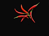 Red chillies on a black background