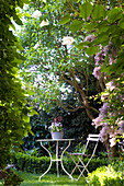 Idyllischer Sitzpatz unter Bäumen im Garten