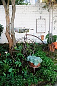 Old wire bistro chair and antique iron bicycle as flower bed decorations