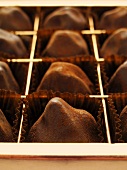 Chocolate truffles in a chocolate box (close-up)