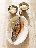 Yaki saba (grilled mackerel, Japan)