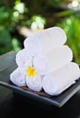 Towels at the Hotel and Ayurveda Spa Shanti Maurice (Mauritius)