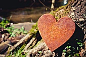 Rusty metal heart on tree trunk