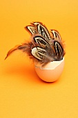 Birds' feathers in an eggshell as Easter decoration