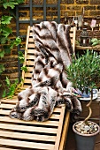 Garden lounger with fur blanket, olive tree and gardening utensils
