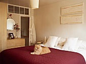 Cat lying on red bedspread in middle of bed