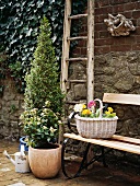 Planters and retro garden bench against stone wall in courtyard