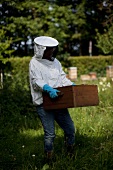 A bee-keeper with honeycombs