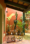 Bike in bike rack below porch and exotic plants in pots