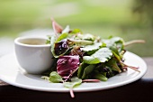 Small Mixed Green Salad with Dressing on the Side; Outdoor