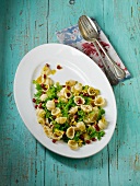 Pasta with cabbage, pomegranate seeds and pistachio nut sauce