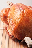 Roast turkey