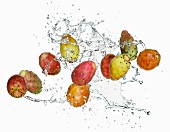 Prickly pears and water