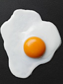 Fried egg on a black background