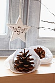 White Christmas star and pine cones