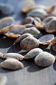 Empty clam shells