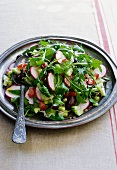 Moroccan vegetable salad with radishes and rocket