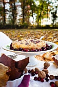 Nut tart with cranberries for autumn picnic