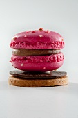 Raspberry macaroons on chocolate and sable (France)