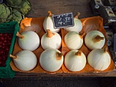 Swiss Giant Onions at The Carouge Market is in Geneva Switzerland