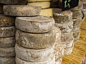 Local Cheeses on Display at the Chamonix Saturday Morning Market; Haute-Savoie, France