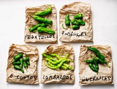 A variety of green chili peppers