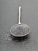 Spoonful of poppy seeds on slate board