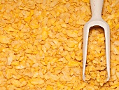 Wooden scoop of cornflakes on a background of cornflakes