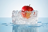 Apple in a block of ice