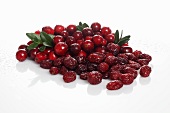 Cranberries, fresh and dried