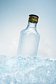 Schnapps bottle in ice